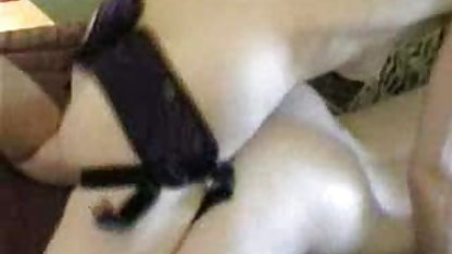 سگ ایرانی سگس الگسیس